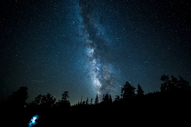 La Voie lactée au-dessus d'une forêt, la nuit