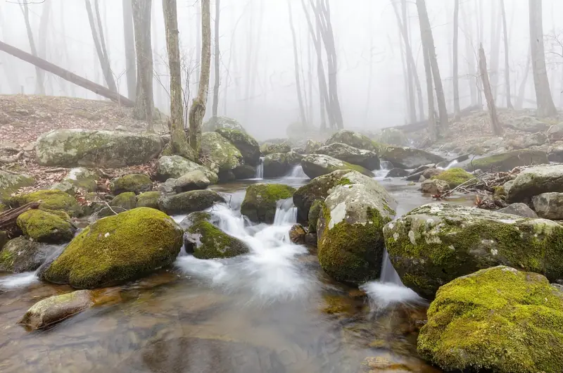 Ruisseau forestier entre des rochers moussus, dans la brume